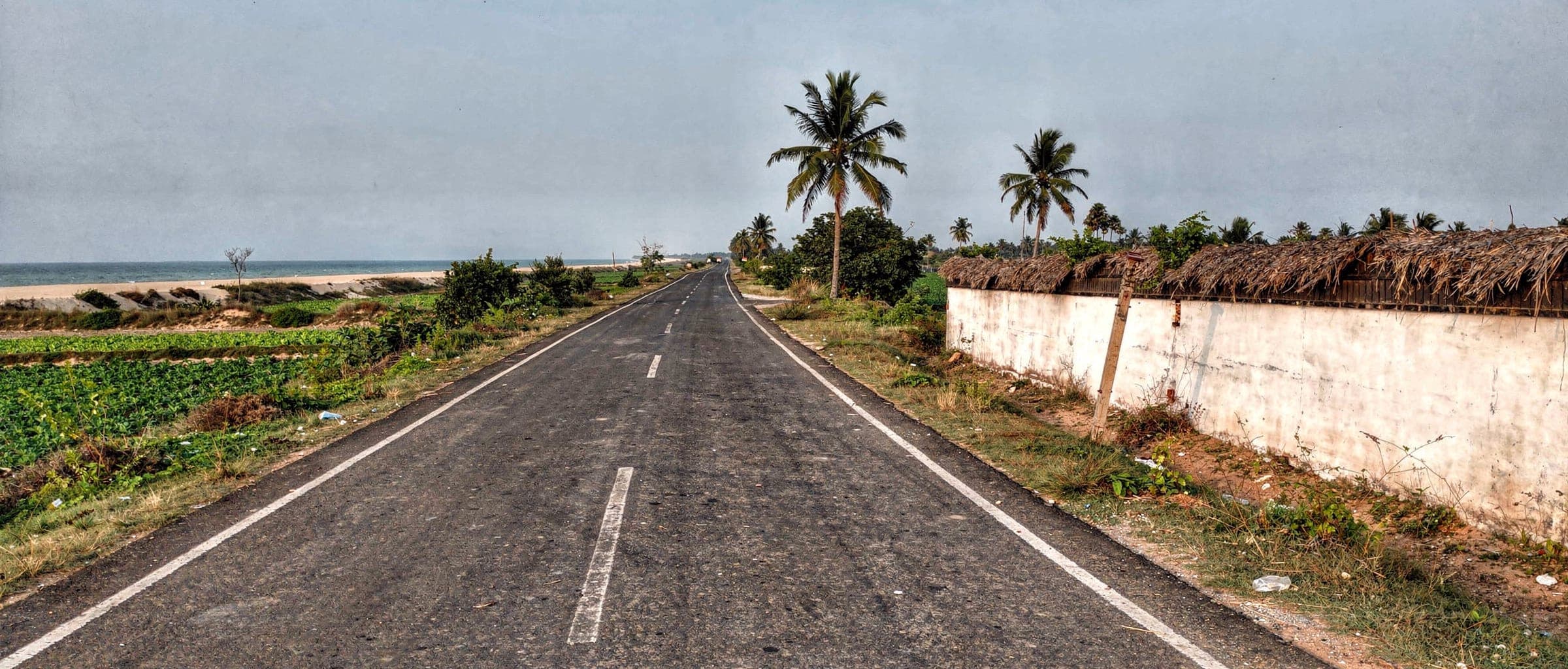 The two-lane road down to the coast at Kothapatnam, cultivated fields on one side and a thatched boundary wall on the other, the sea visible ahead on the left.
