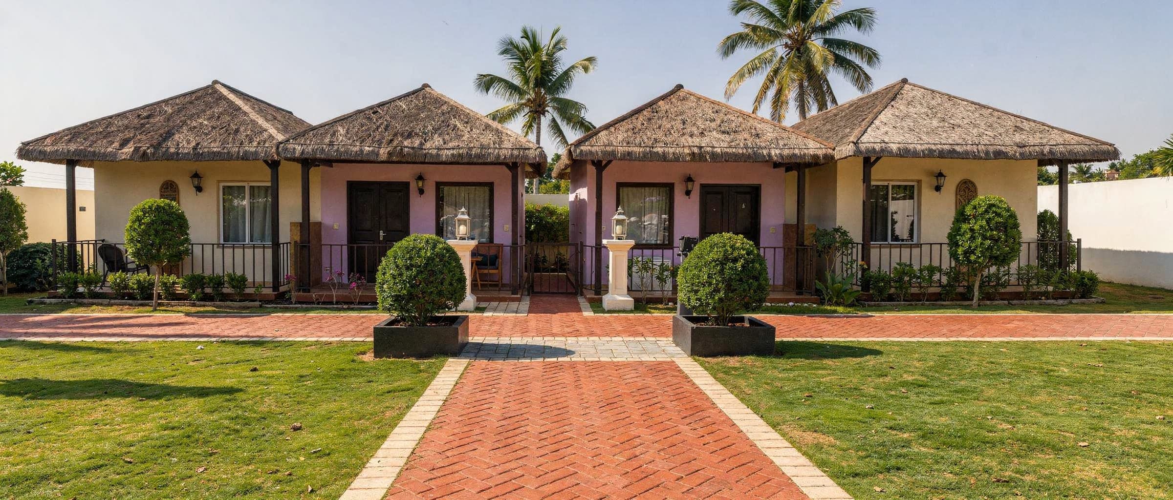 A row of cottages at midday: thatched roofs, cream and pale-lilac walls, dark timber doors, clipped topiary in planters along a herringbone brick path.